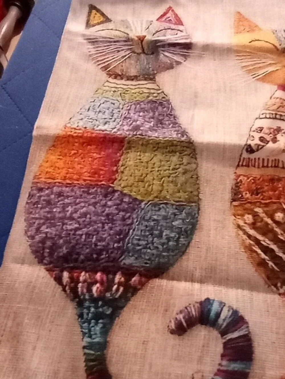 Catstudio soft multicolor